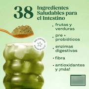 Greens Sabor Fresa Kiwi 14 Sachets