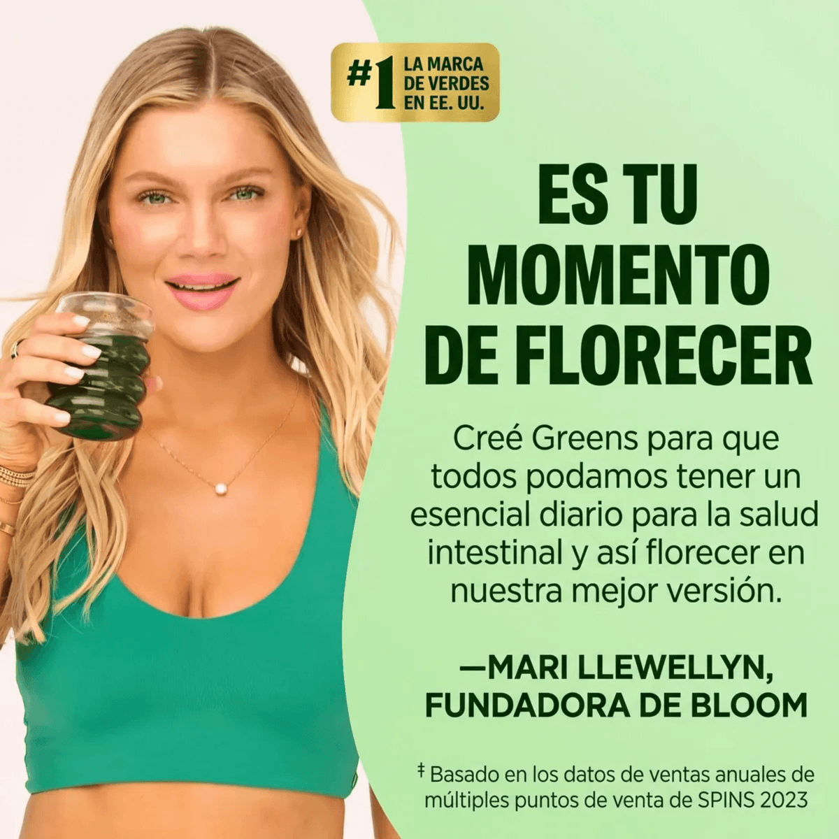 Greens Sachets Variedad De Sabores 15 sobres