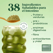 Bloom Greens Sabor Original - 25 Porciones